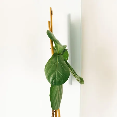 Faria Guimaraes 公寓 *